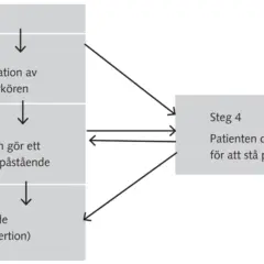 Flödesschema visar steg för patientens självhävdelse, med fokus på dynamik mellan personer.