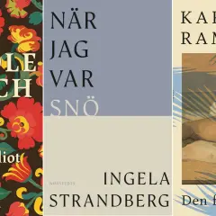 Tre bokomslag: "Middle March" av George Eliot, "När jag var snö" av Ingela Strandberg, och "Den första boken" av Karolina Ramqvist. En bok om ångest kan finnas bland dessa.