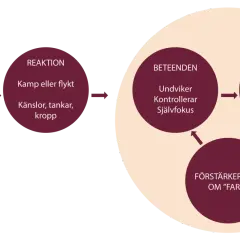 Diagram som visar hur situationer, reaktioner och beteenden kan förstärka idén om "fara", vilket kan leda till ocd ångest.