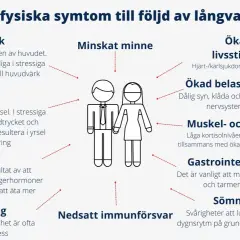 Yrsel och huvudvärk är vanliga symtom vid långvarig stress. Diagrammet visar fler negativa effekter.