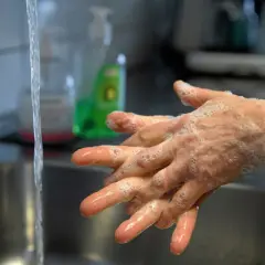 Hands being washed with soap and water in a sink.