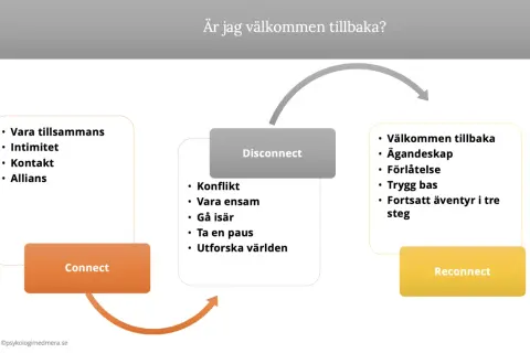 Diagram som visar vad betyder relation: Connect (vara tillsammans, intimitet, kontakt, allians), Disconnect (konflikt, ensamhet, gå isär, paus, utforska världen) och Reconnect (välkommen tillbaka, ägandeskap, förlåtelse, trygg bas, äventyr).