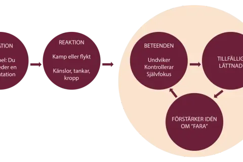 Schema visar hur en situation (t.ex. presentation) leder till reaktion (kamp/flykt, känslor) och beteenden (undviker, kontrollerar) som ger tillfällig lättnad, men förstärker idén om fara. Kan liknas vid panikångest av alkohol.