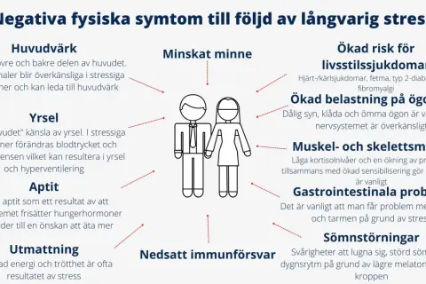Yrsel och huvudvärk är vanliga symtom vid långvarig stress. Diagrammet visar fler negativa effekter.