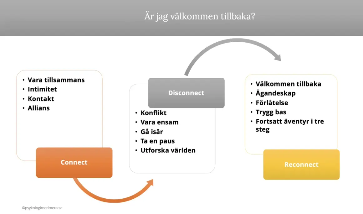 Diagram som visar vad betyder relation: Connect (vara tillsammans, intimitet, kontakt, allians), Disconnect (konflikt, ensamhet, gå isär, paus, utforska världen) och Reconnect (välkommen tillbaka, ägandeskap, förlåtelse, trygg bas, äventyr).