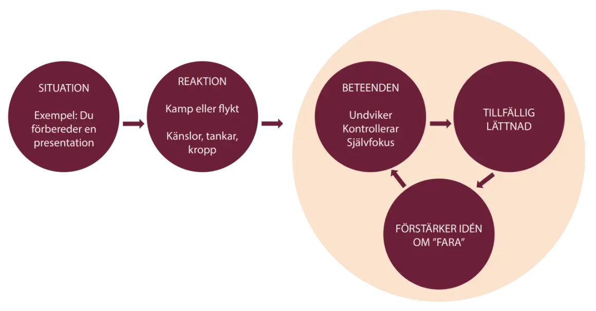 Diagram som visar hur situationer, reaktioner och beteenden kan förstärka idén om "fara", vilket kan leda till ocd ångest.