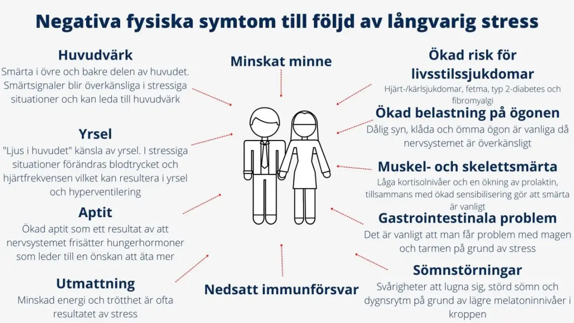 Yrsel och huvudvärk är vanliga symtom vid långvarig stress. Diagrammet visar fler negativa effekter.