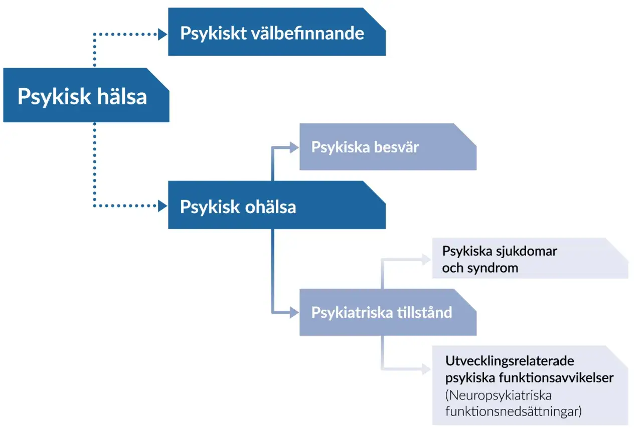 Diagram som visar sambandet mellan psykisk h&auml;lsa, psykisk oh&auml;lsa och olika tillst&aring;nd som kan leda till en eips diagnos.