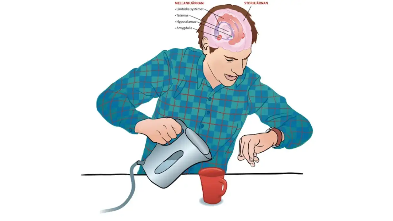 Illustration av en man som h&auml;ller vatten i en mugg, med en hj&auml;rna ovanf&ouml;r som visar stressymtom.
