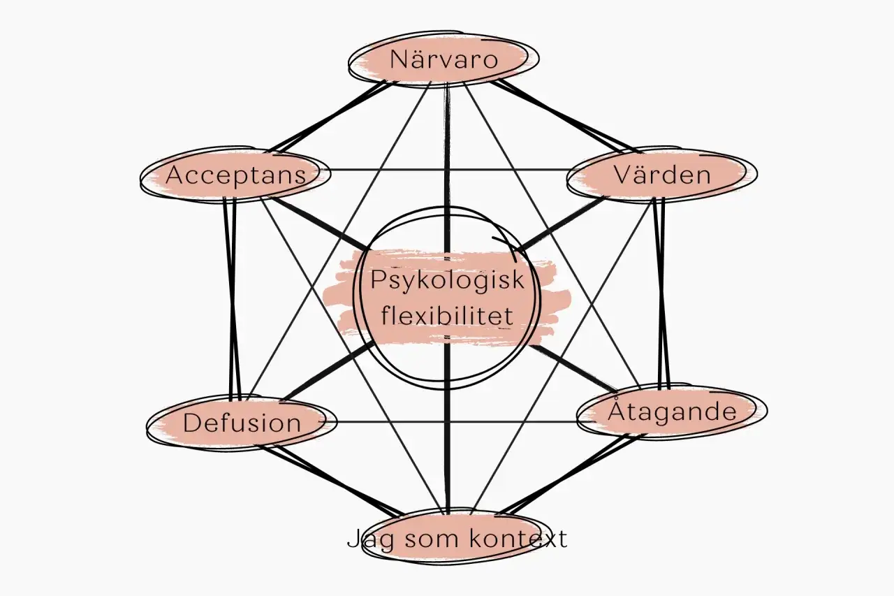 Schema för psykologisk flexibilitet, centralt i act terapi. Visar närvaro, acceptans, värden, åtagande, jag som kontext och defusion.